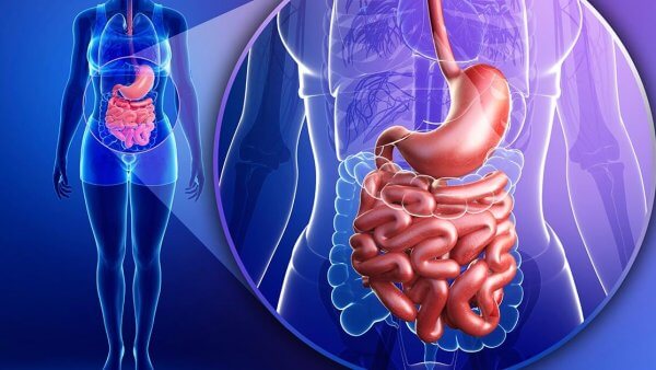 The Link Between Nutrition and Leaky Gut Syndrome