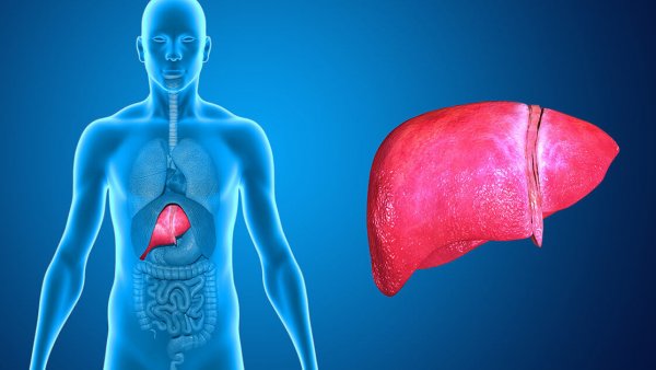 9 Ways You May Be Hurting Your Liver (Without Even Knowing)