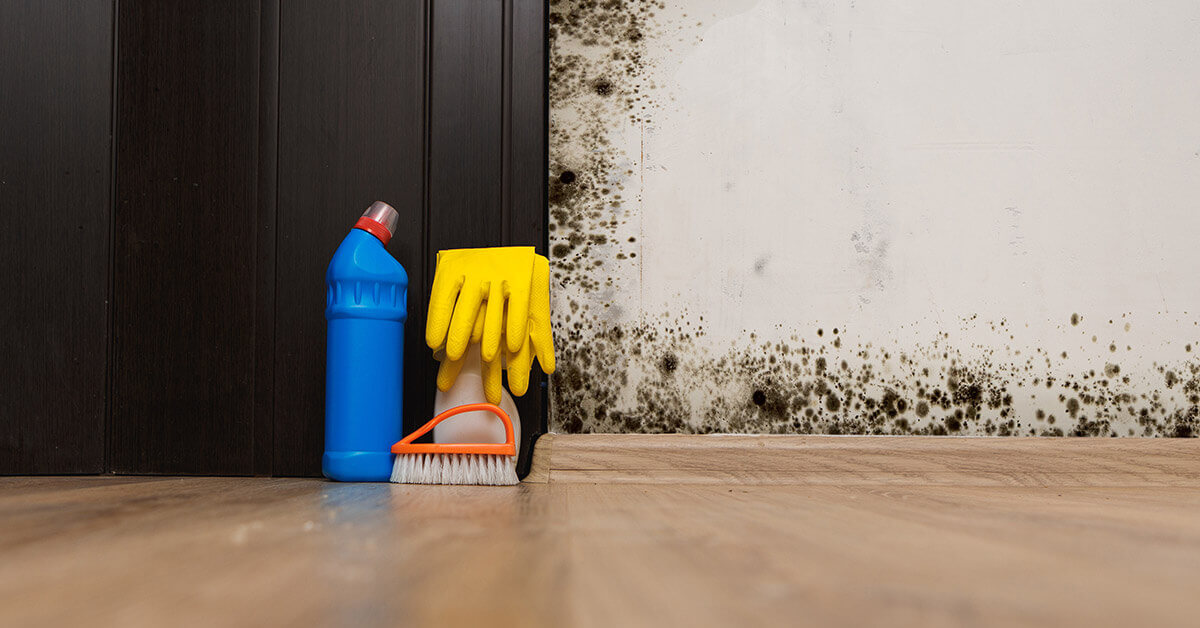 11 Signs Of Mold Illness