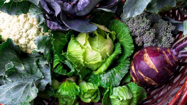 Hypothyroid & Cruciferous Vegetables